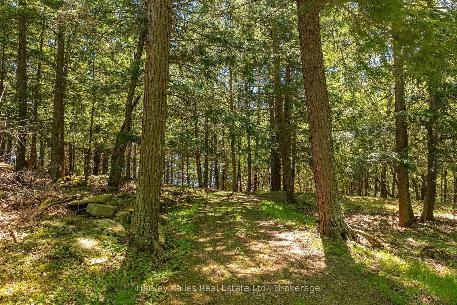 1353 Port Cunnington Road • Lake of Bays, ON photo 29