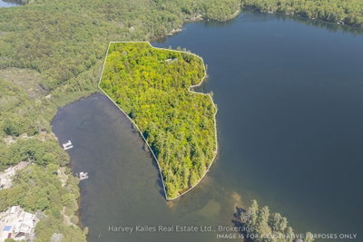 1353 Port Cunnington Road • Lake of Bays, ON photo 4