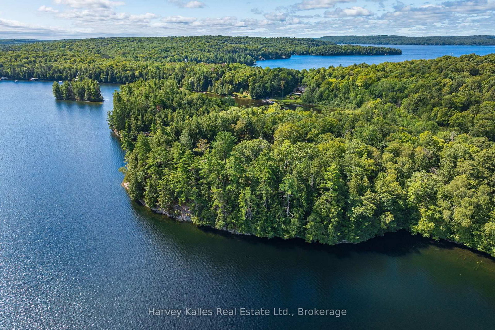 1353 Port Cunnington Road • Lake of Bays, ON photo 6