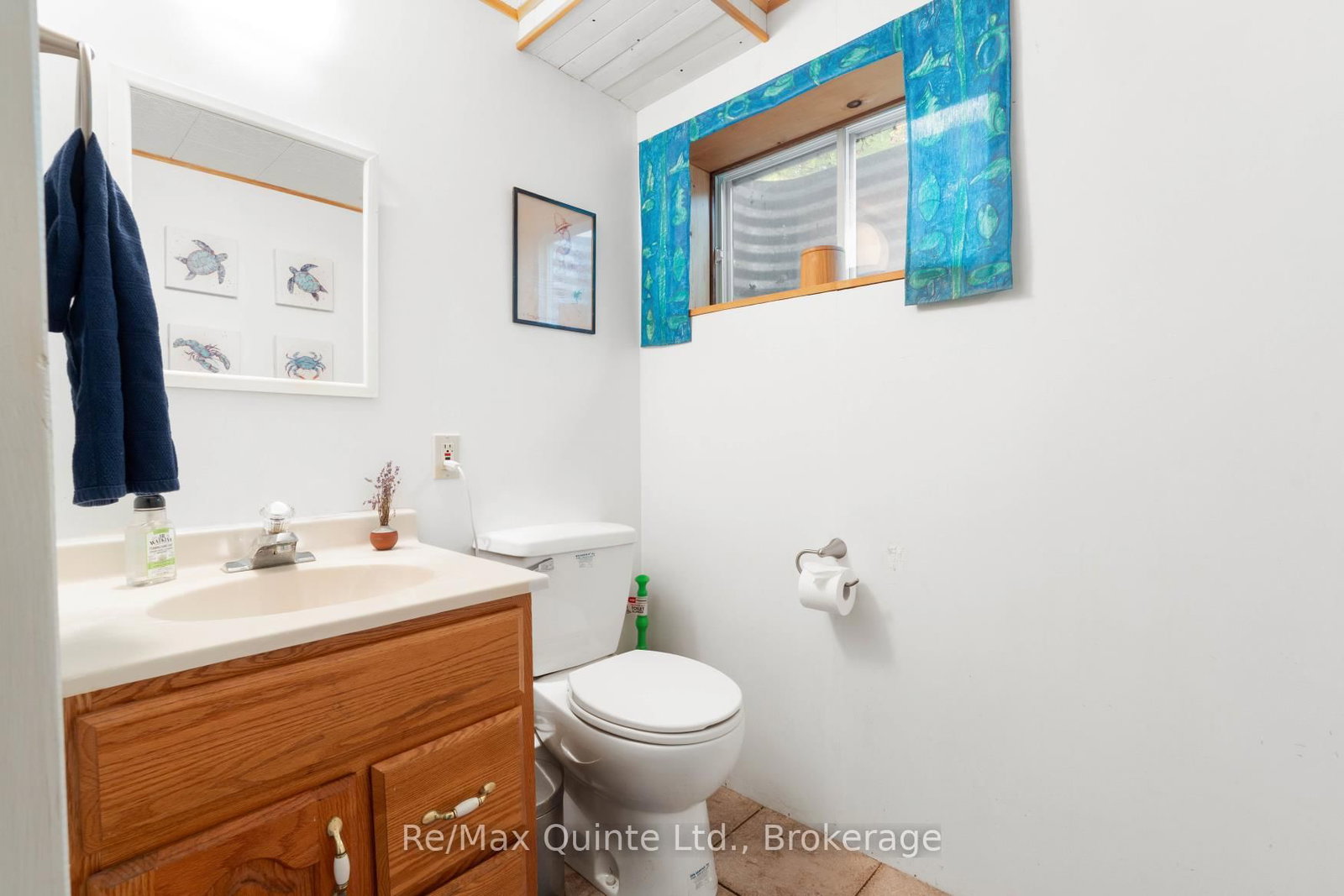 538 Skene Road • Hastings, ON photo 26