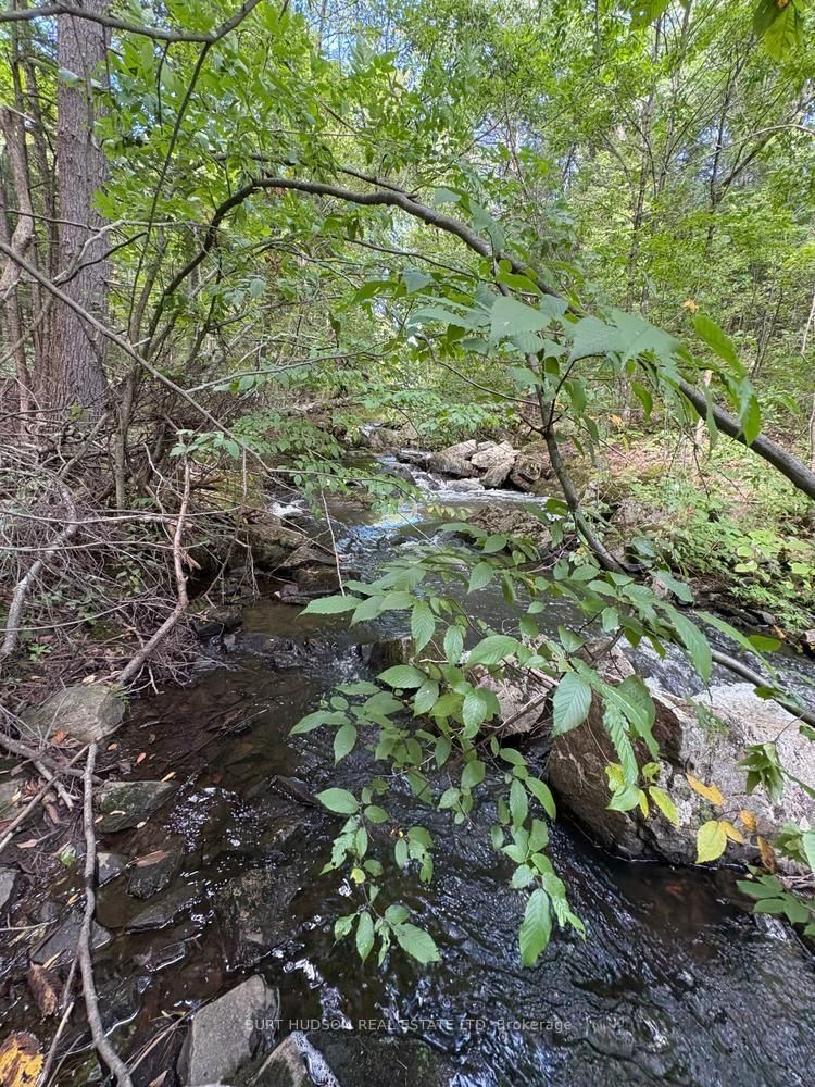 33 3rd Concession Road
