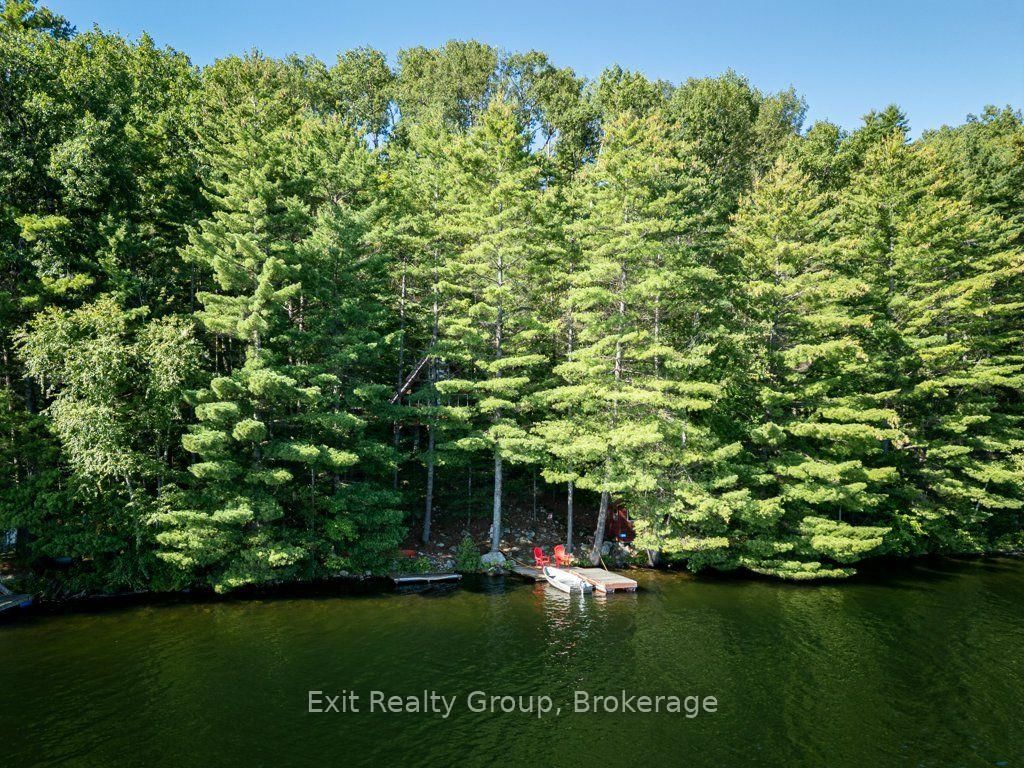 2010 Shabomeka Lake • Cloyne, ON photo 37
