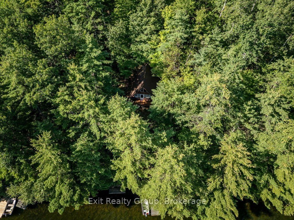 2010 Shabomeka Lake • Cloyne, ON photo 39