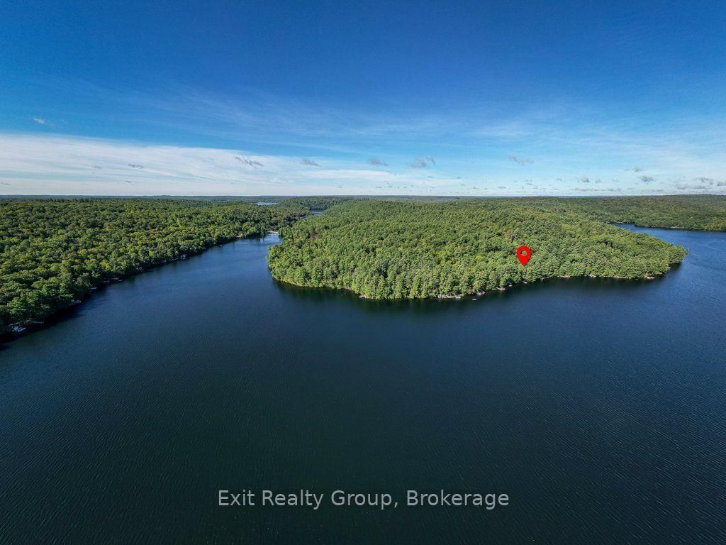 2010 Shabomeka Lake • Cloyne, ON photo 43
