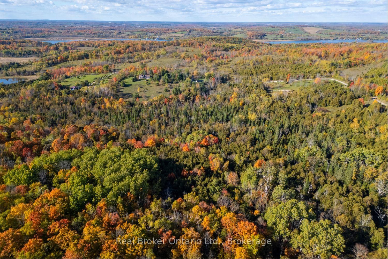 250 Silver Heights Drive • Trent Hills, ON photo 40