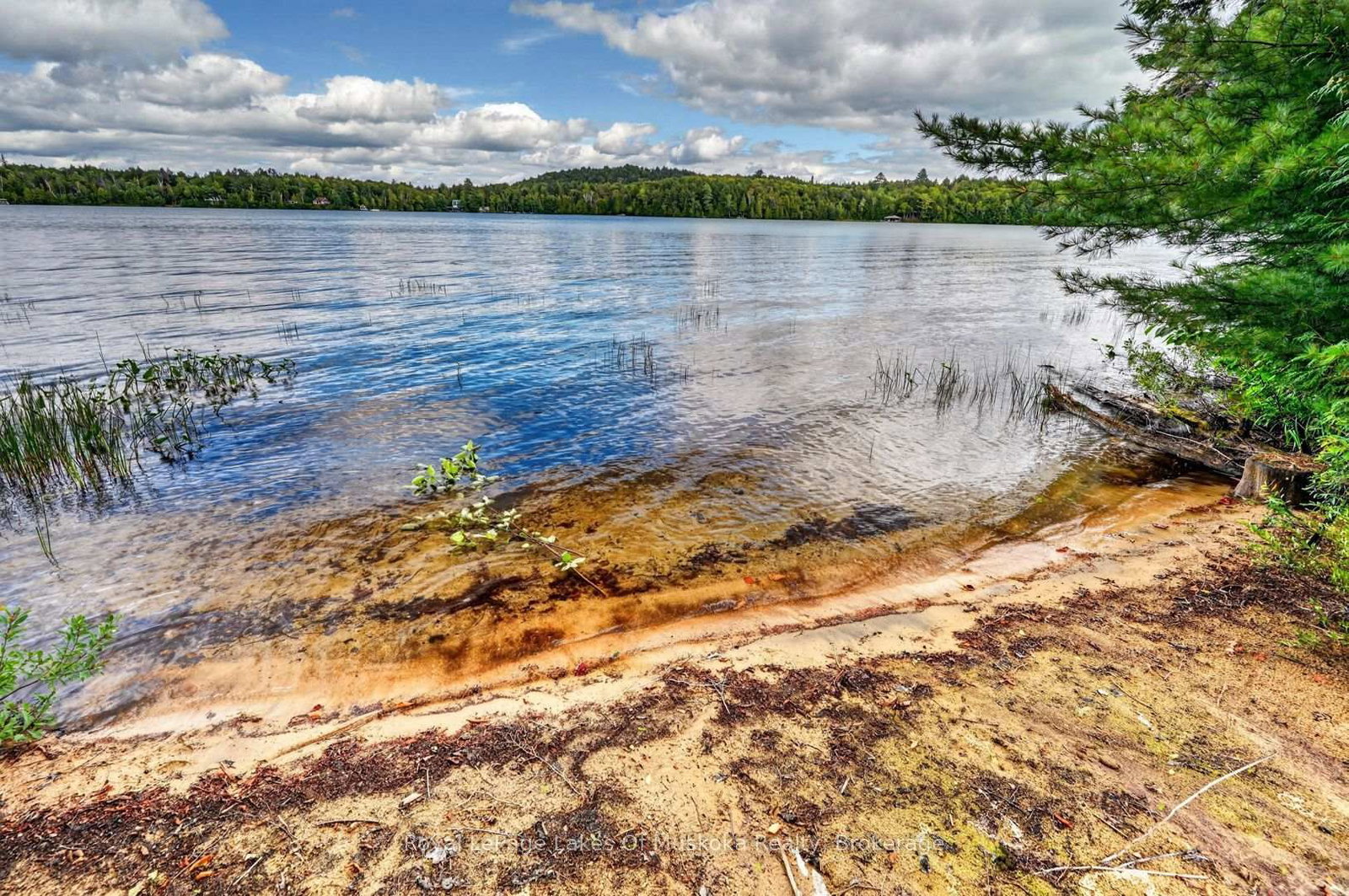 1041 Kells Bay Road • #3 • Lake of Bays, ON photo 22