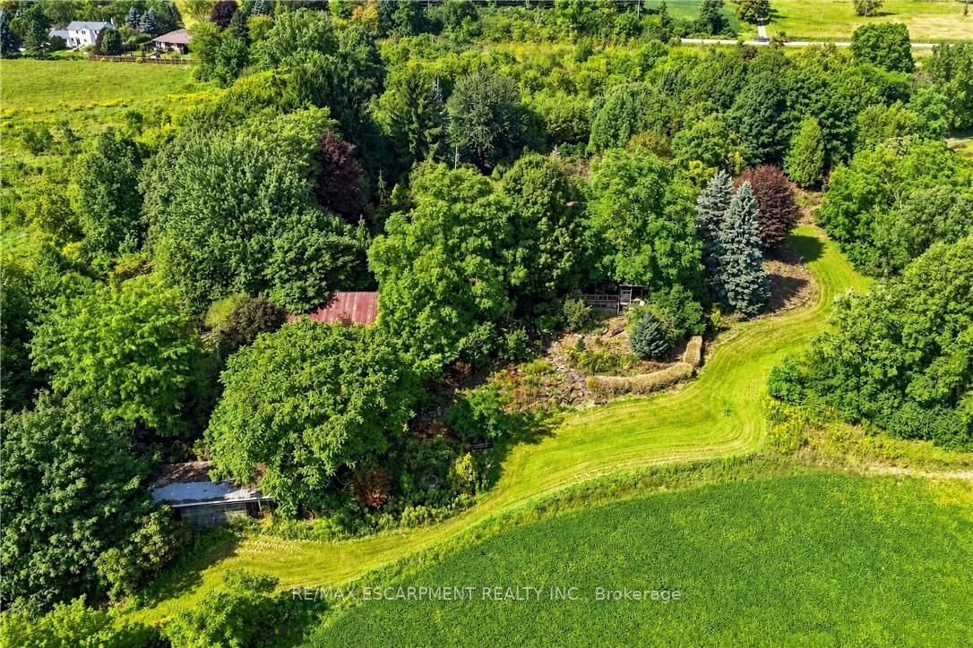 994 Safari Road • Hamilton, ON photo 11