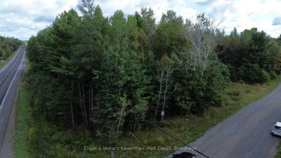 Lot A Trotter Rd Road • North Kawartha, ON photo 4