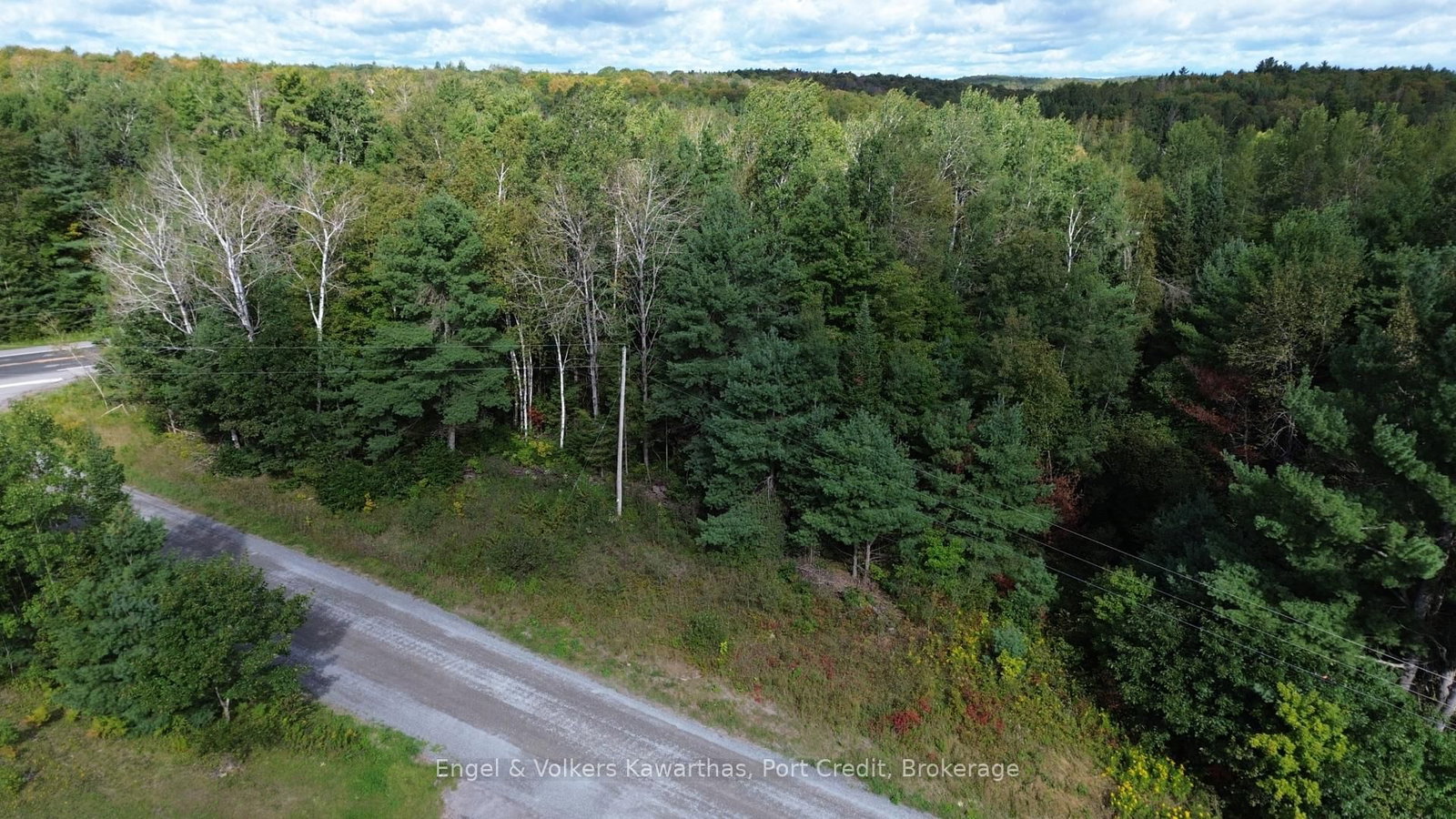 Lot A Trotter Rd Road • North Kawartha, ON photo 5