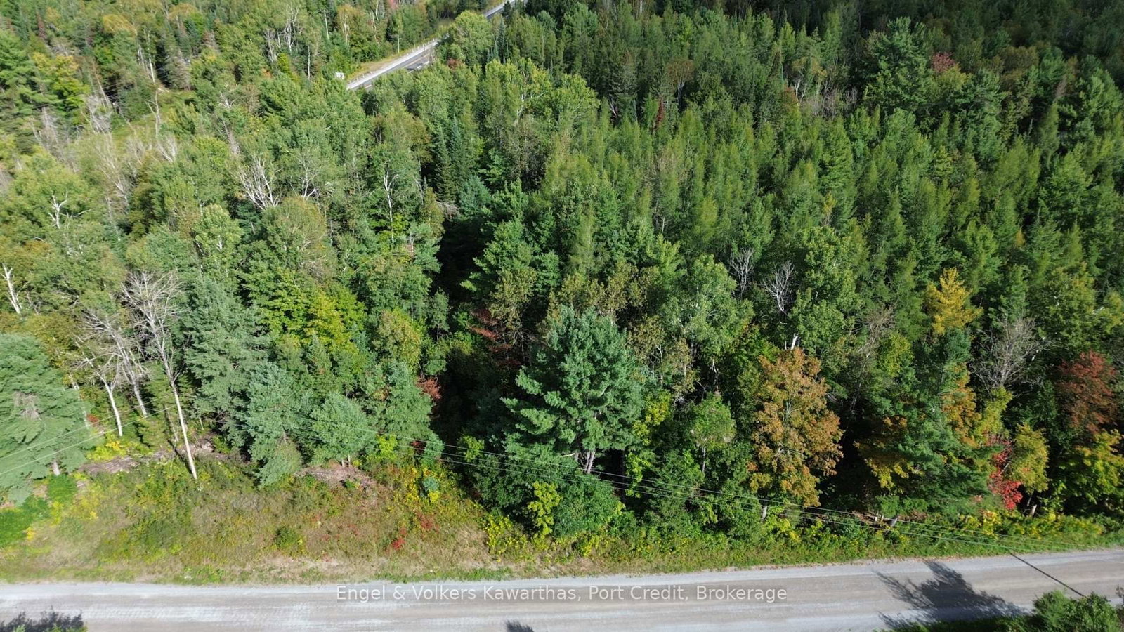 Lot A Trotter Rd Road • North Kawartha, ON photo 6