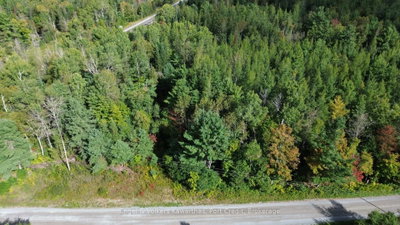 Lot A Trotter Rd Road • North Kawartha, ON photo 6