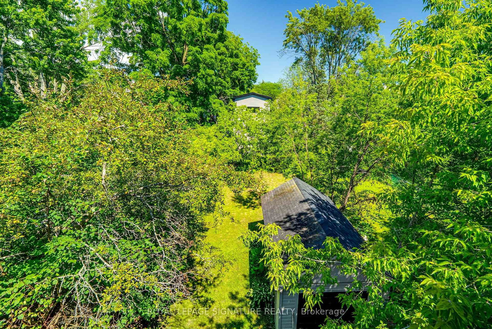 293 Albert Street • Kingston, ON photo 18