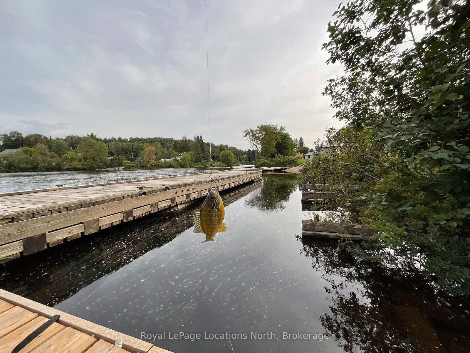 143 Ryerson Crescent • Burk's Falls, ON photo 22