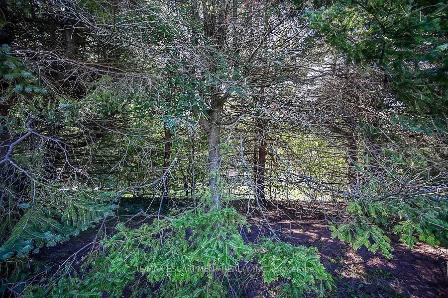 57 Turnbull Road • Hamilton, ON photo 25