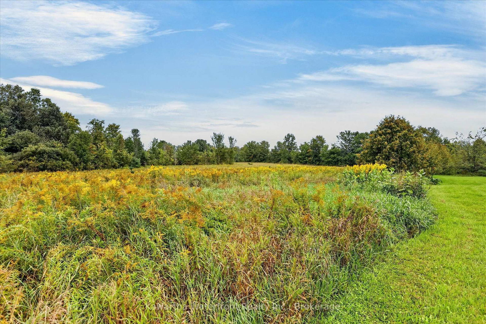 600 Base Line Road • Kawartha Lakes, ON photo 33