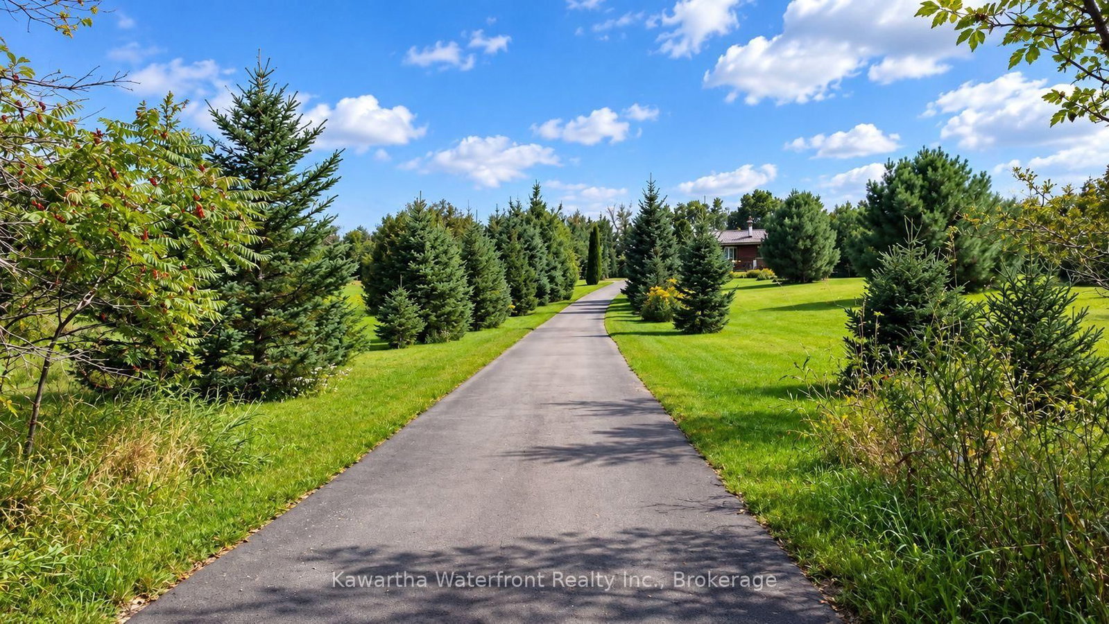 600 Base Line Road • Kawartha Lakes, ON photo 42