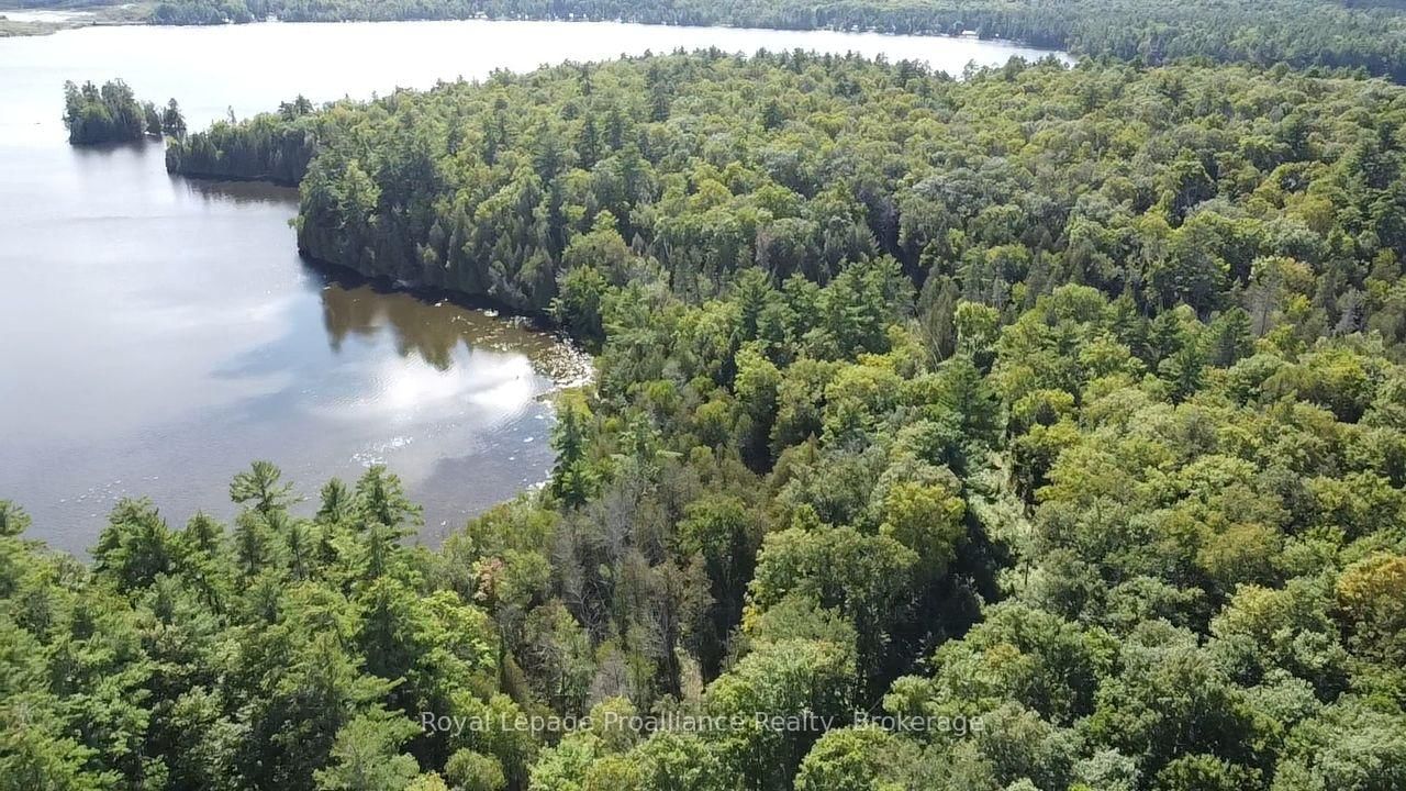 1070 Perry Lane LOT 1 Lane • Cloyne, ON photo 4