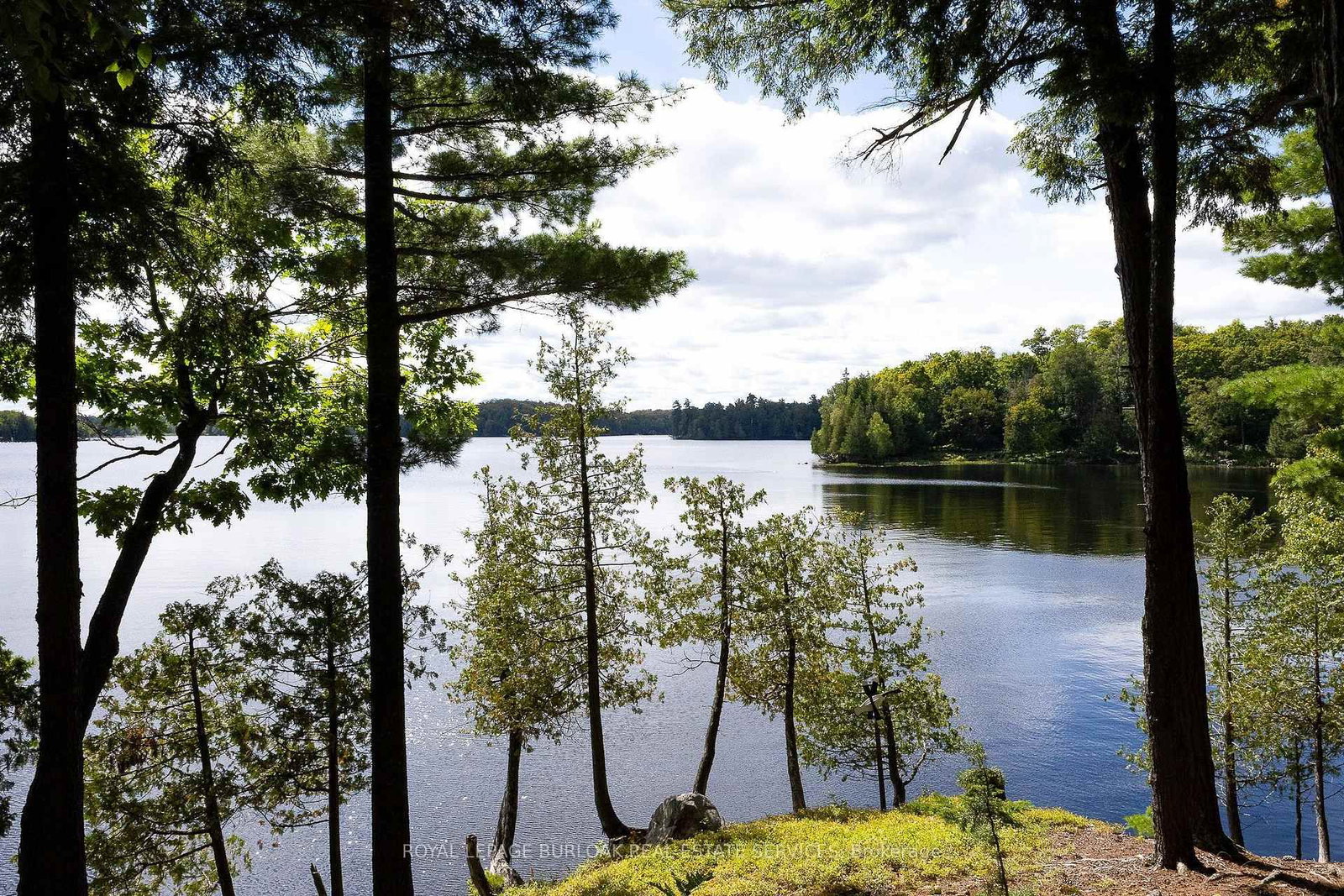115 Tanners Lane • Magnetawan, ON photo 30