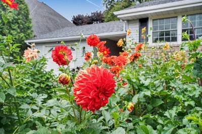 11 Miller Drive • Hamilton, ON photo 3