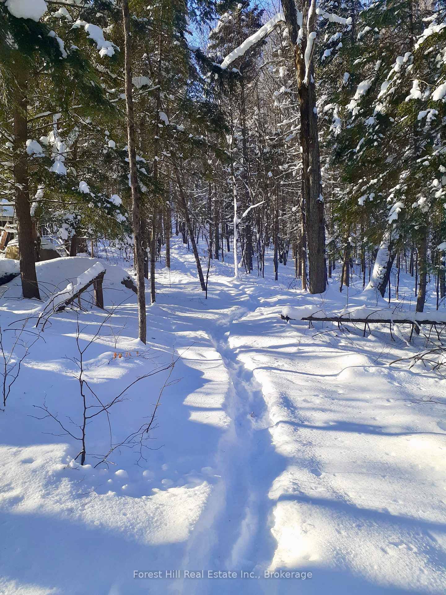 1474 Etwell Road • Huntsville, ON photo 29