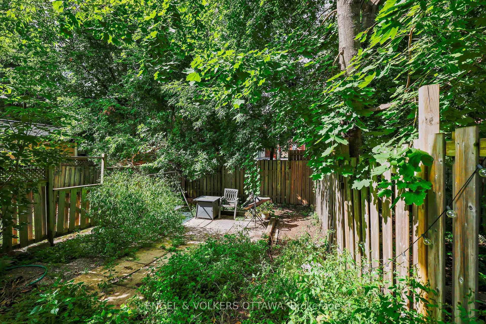 251 Arlington Avenue • Ottawa, ON photo 32