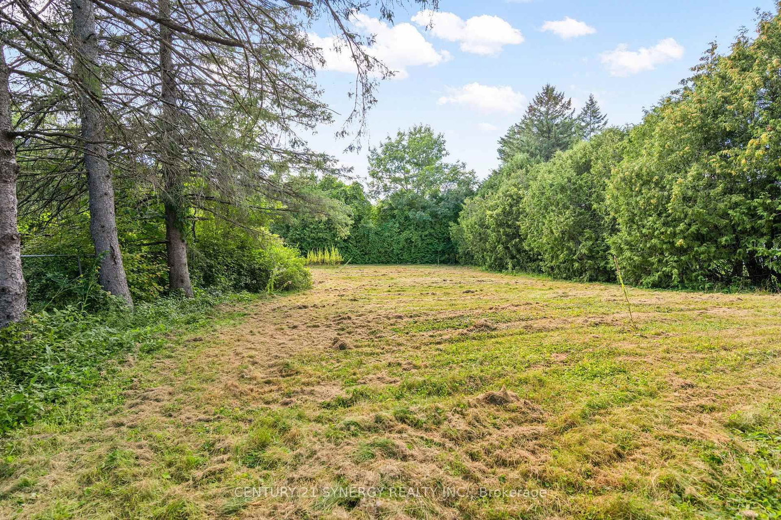 1134 Quigley Hill Road • Cumberland, ON photo 26