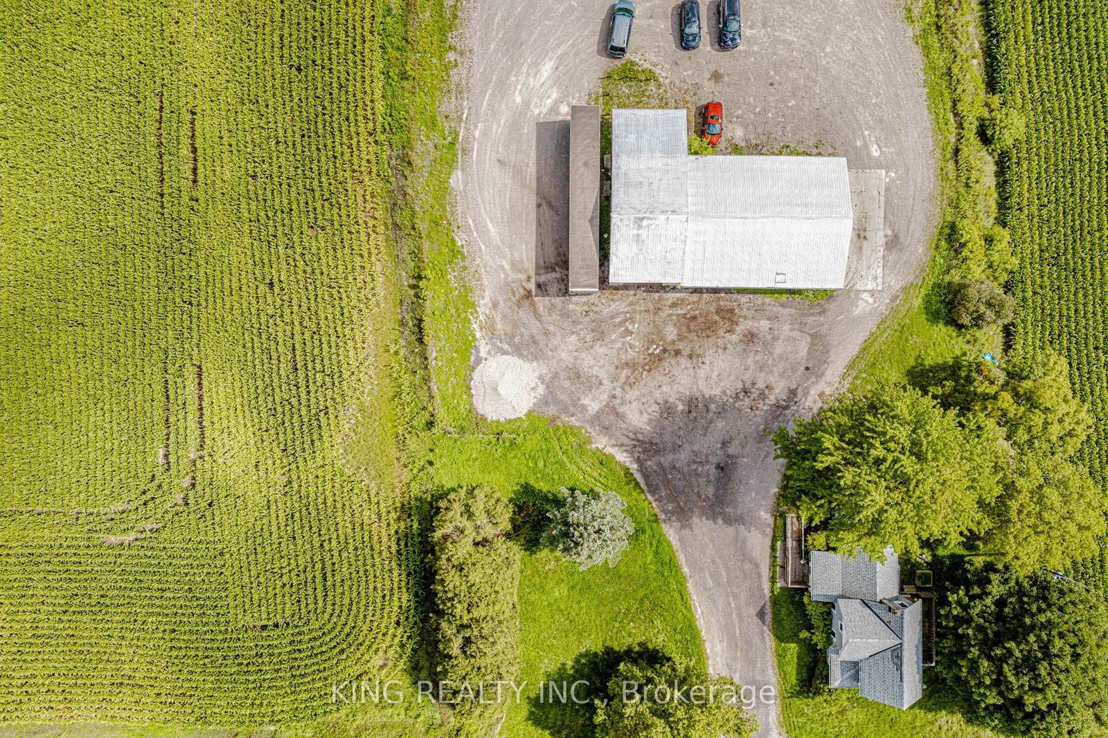 4538 DORCHESTER Road • Thames Centre, ON photo 5