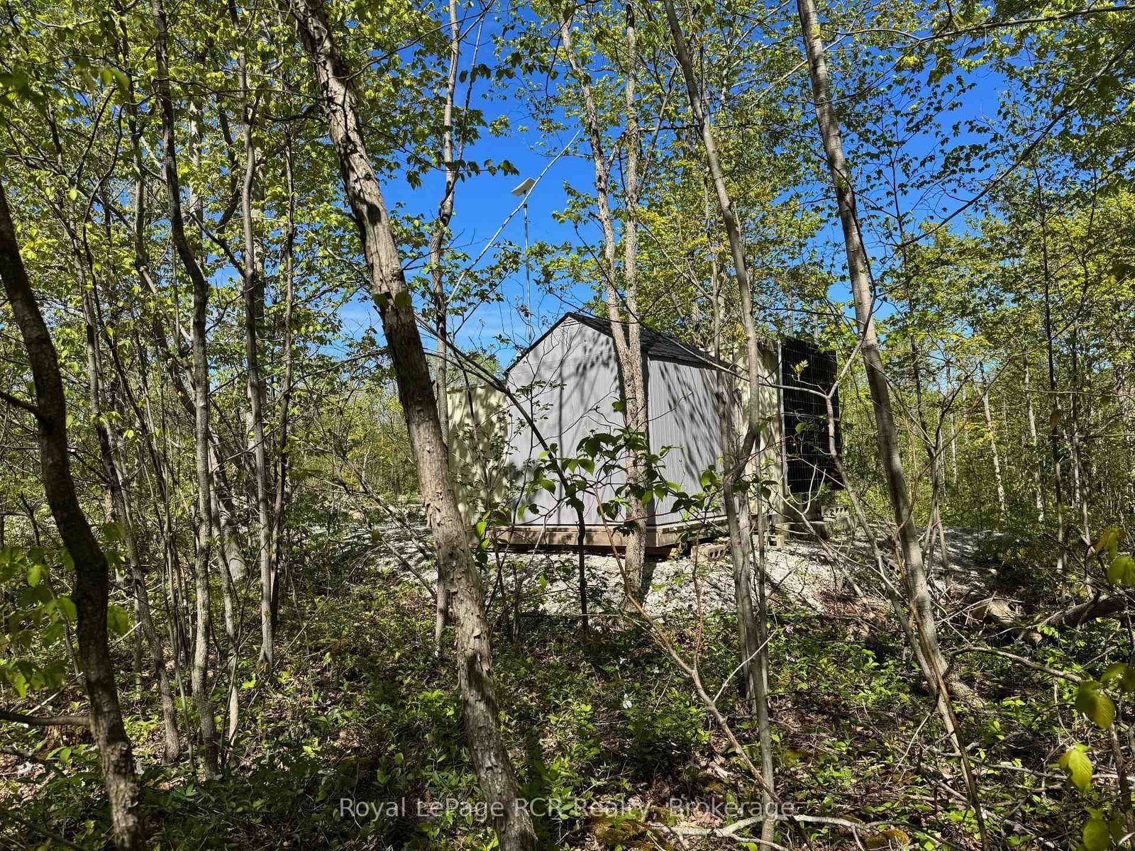 2248 Bruce Rd 9 Road • Northern Bruce Peninsula, ON photo 13