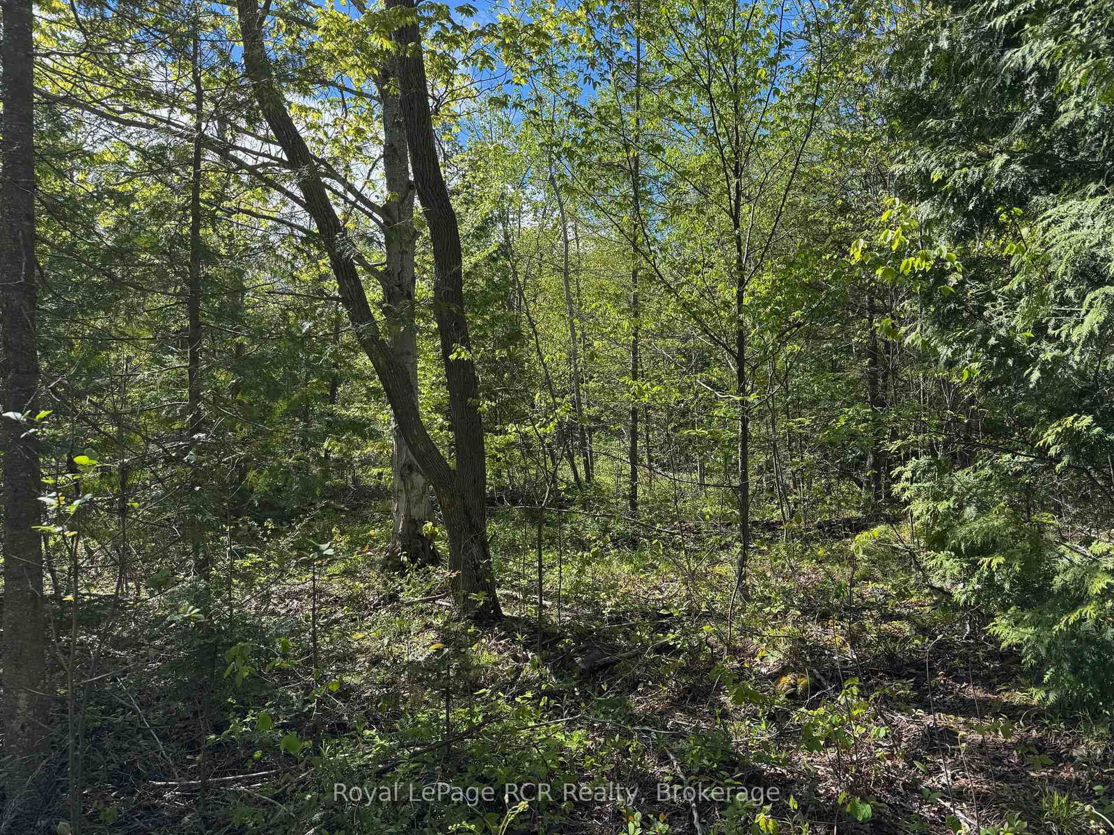 2248 Bruce Rd 9 Road • Northern Bruce Peninsula, ON photo 17