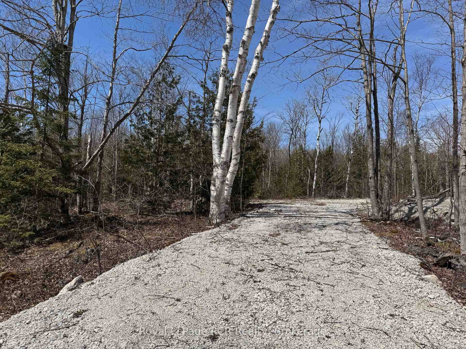 2248 Bruce Rd 9 Road • Northern Bruce Peninsula, ON photo 24