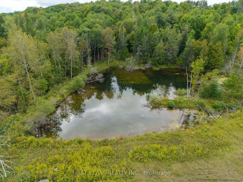 261 Wingle Rd photo 4