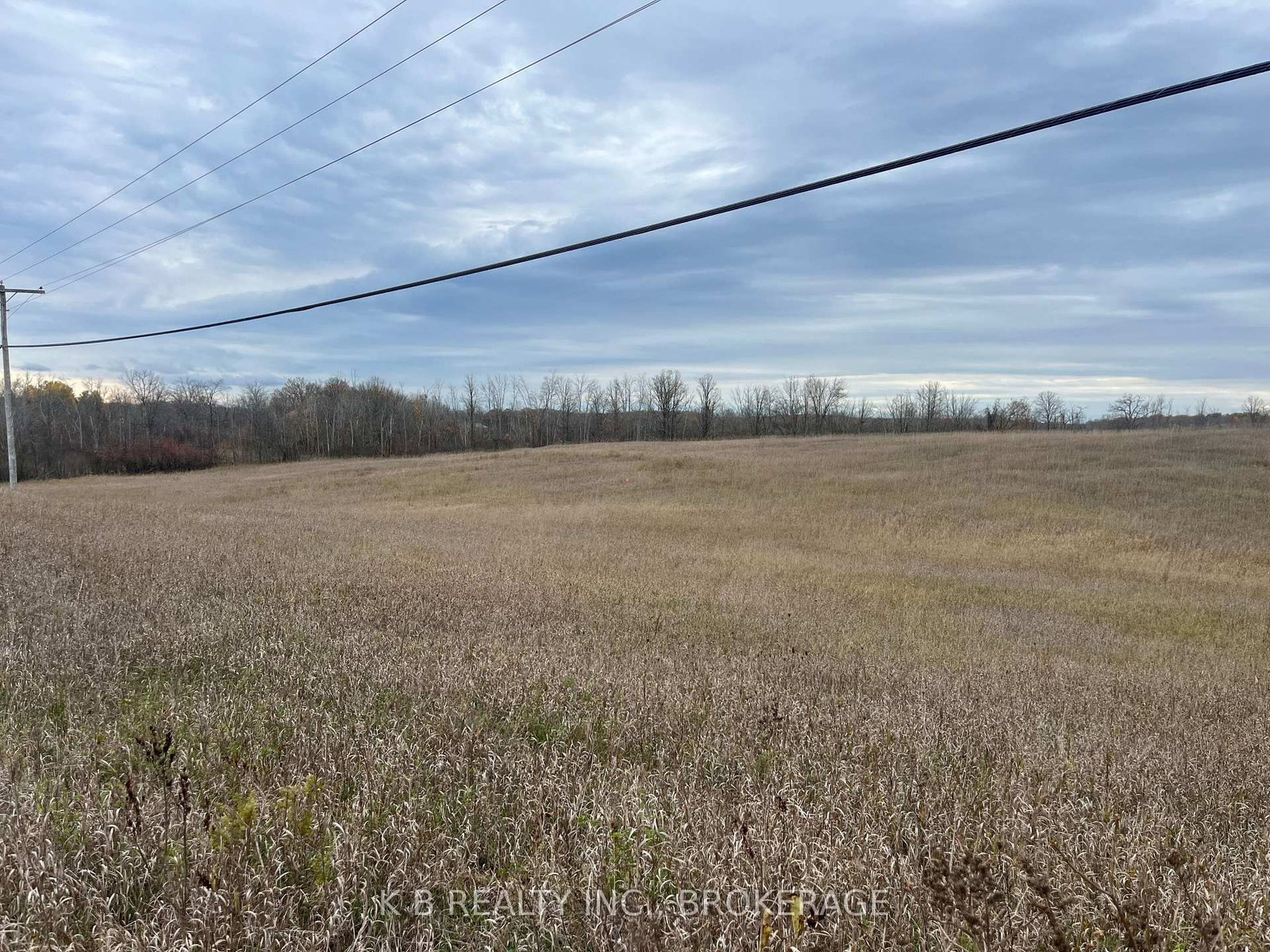 6562 County 4 Road • Tamworth, ON photo 1