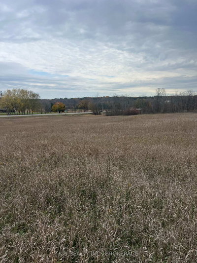 6562 County 4 Road • Tamworth, ON photo 5