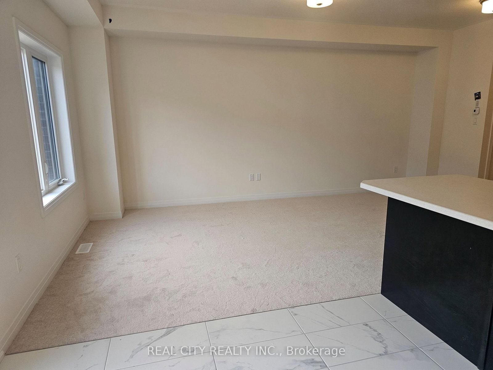 48 McKernan Avenue • Brantford, ON photo 16