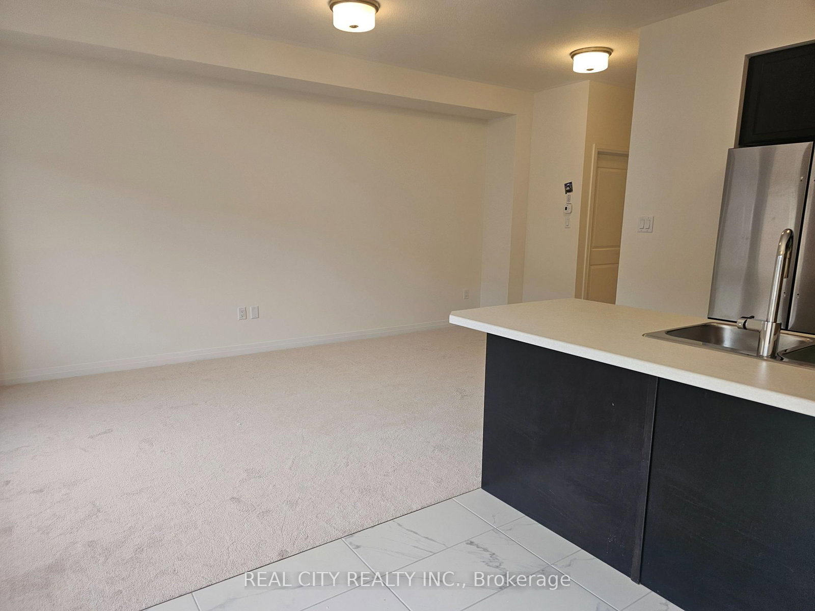 48 McKernan Avenue • Brantford, ON photo 17