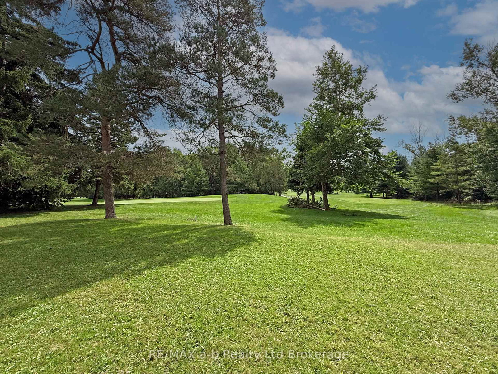 845006 Braemar Side Road • East Zorra-Tavistock, ON photo 47
