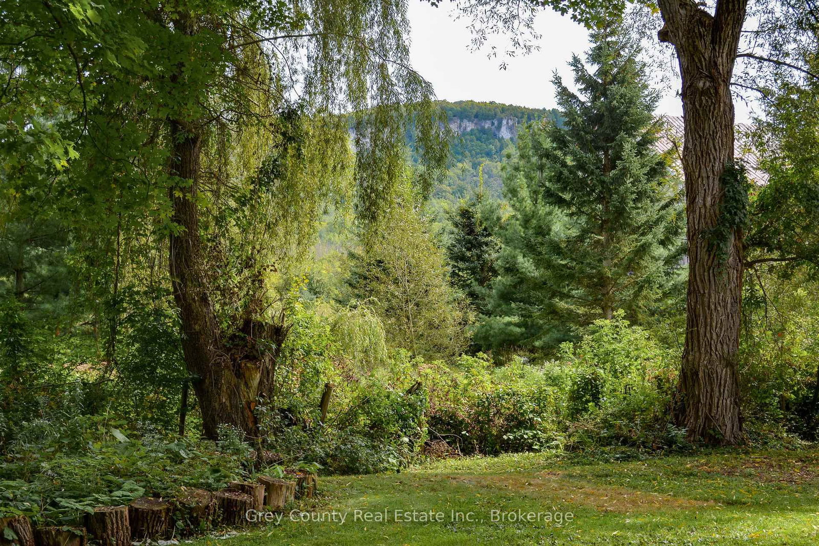 235341 Grey 13 Road • Grey Highlands, ON photo 39