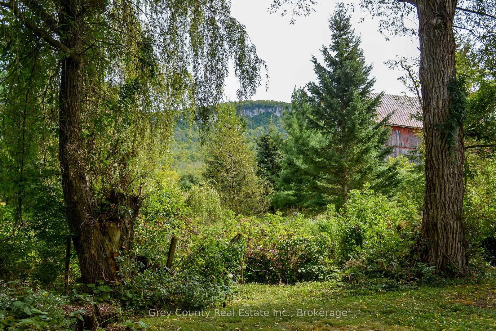 235341 Grey 13 Road • Grey Highlands, ON photo 48