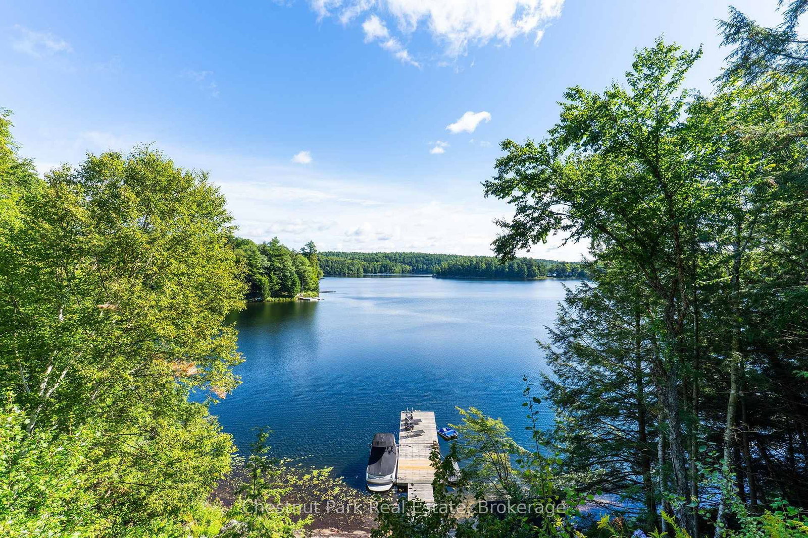 98 Woodland Drive • Seguin, ON photo 35