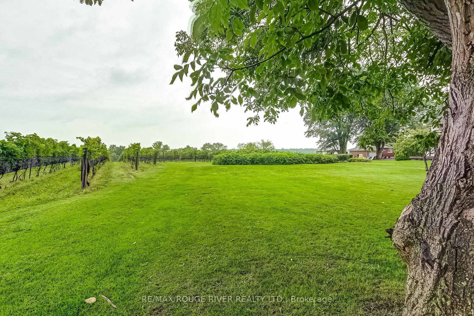 290 Four Mile Creek Road • Niagara-on-the-Lake, ON photo 38