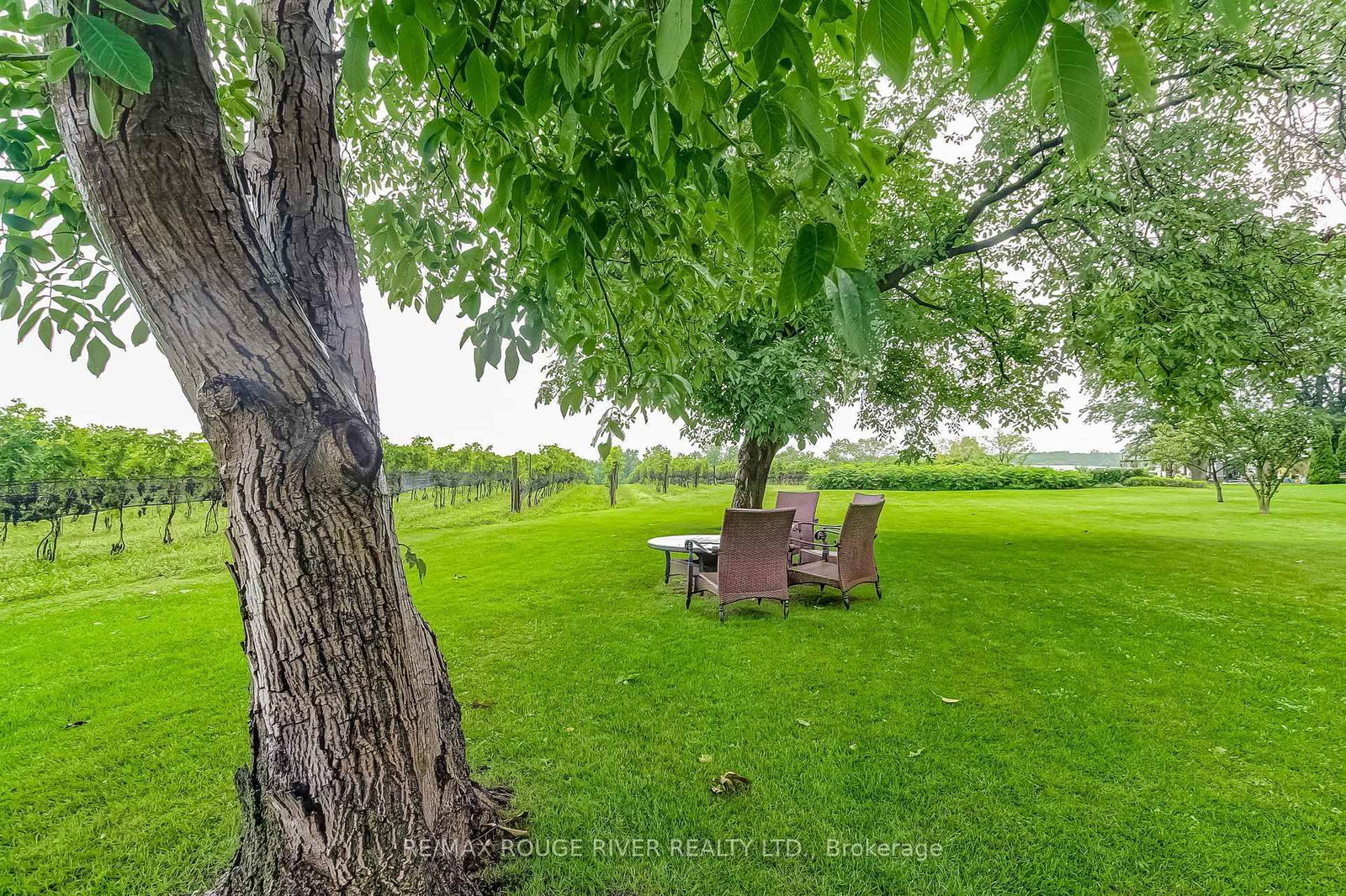 290 Four Mile Creek Road • Niagara-on-the-Lake, ON photo 39