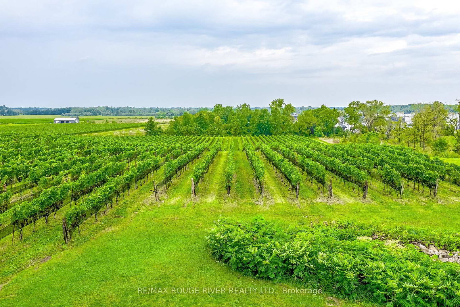 290 Four Mile Creek Road • Niagara-on-the-Lake, ON photo 47