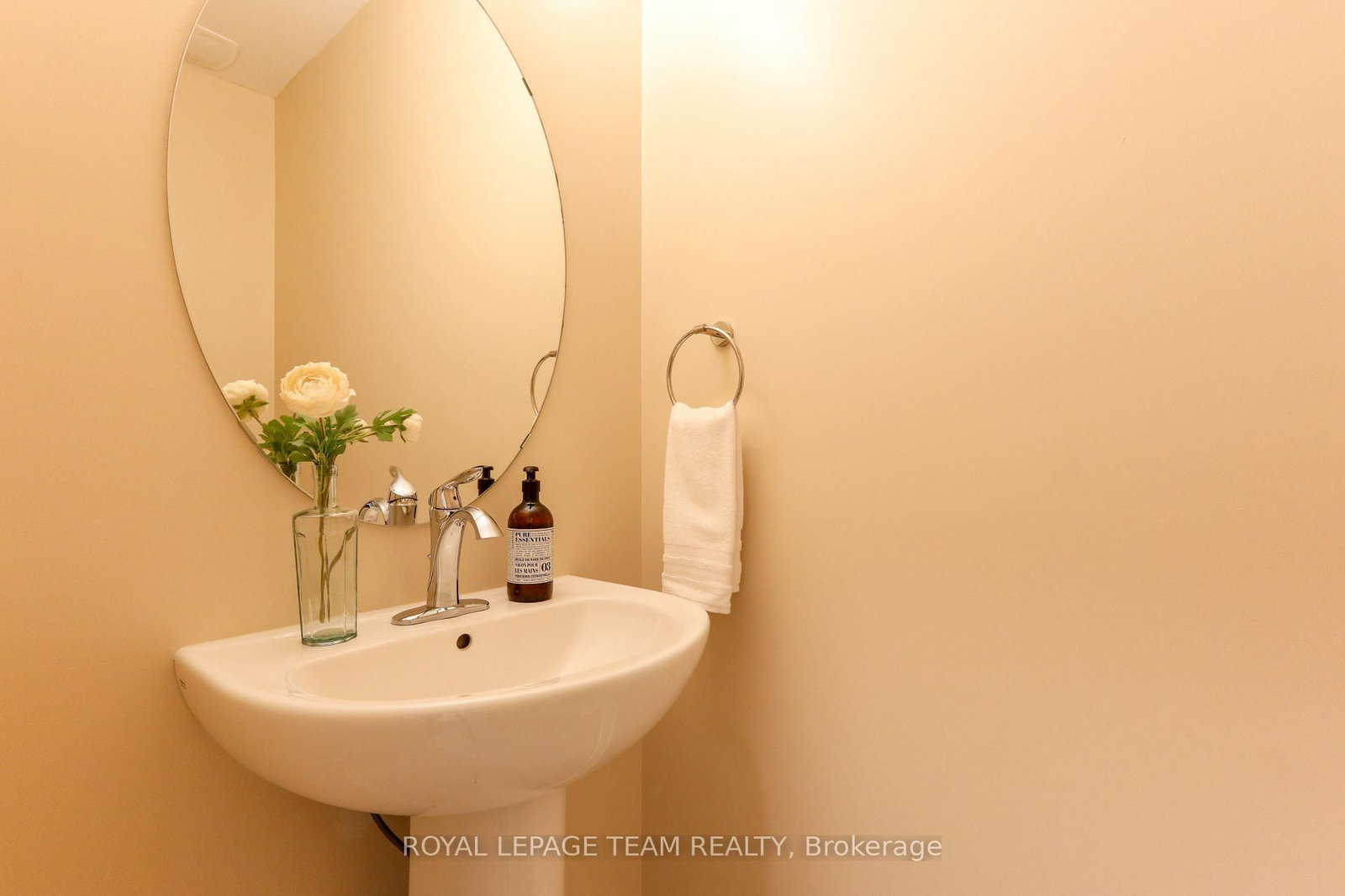 32 Berryman Street • Carleton Place, ON photo 20