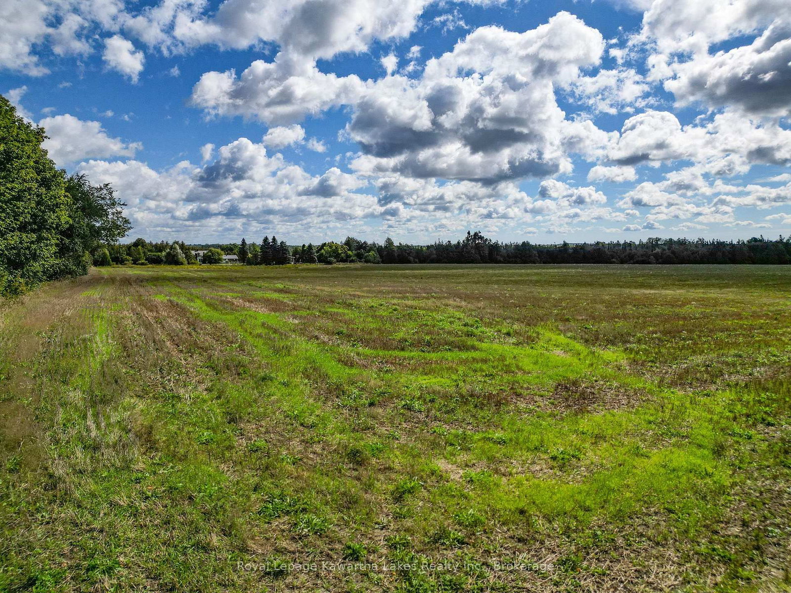 0 Demoe Road • Kawartha Lakes, ON photo 10