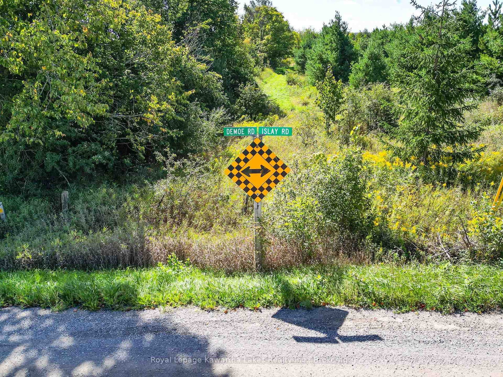 0 Demoe Road • Kawartha Lakes, ON photo 3