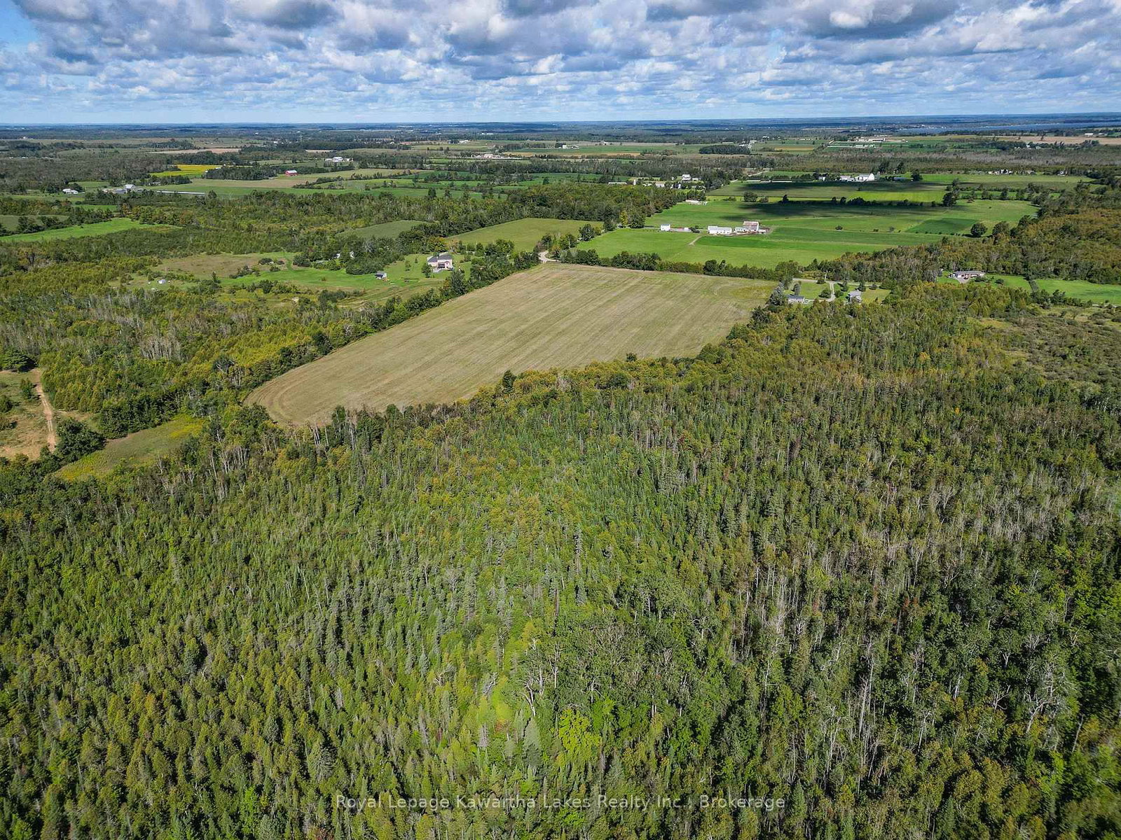 0 Demoe Road • Kawartha Lakes, ON photo 6