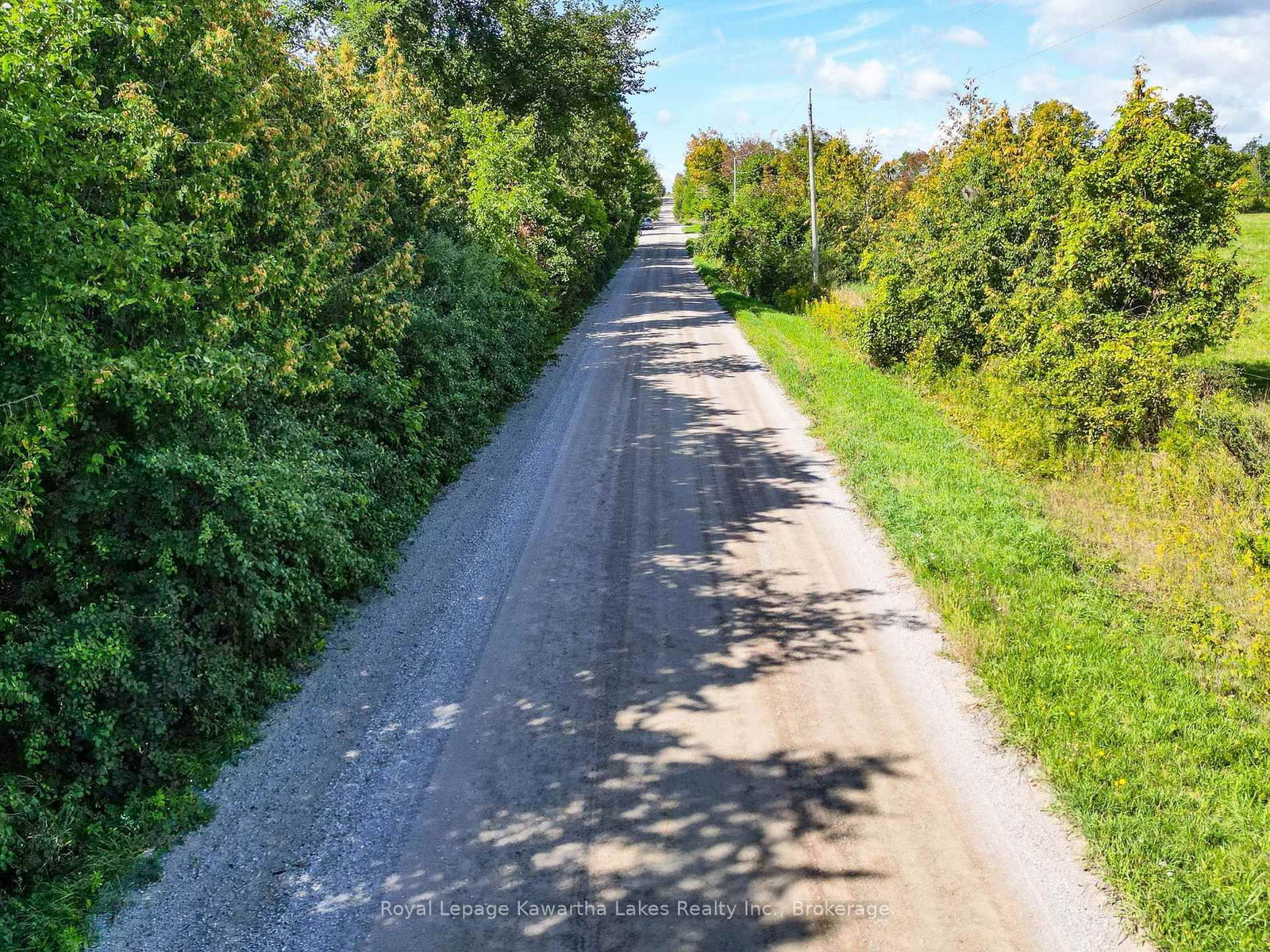 0 Demoe Road • Kawartha Lakes, ON photo 7