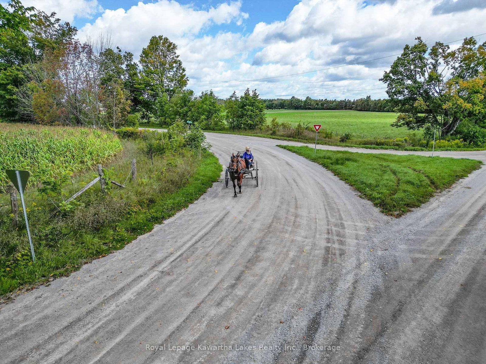 0 Demoe Road • Kawartha Lakes, ON photo 8