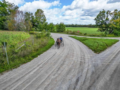 0 Demoe Road • Kawartha Lakes, ON photo 8