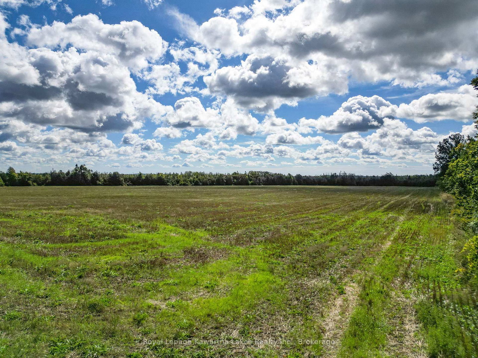 0 Demoe Road • Kawartha Lakes, ON photo 9